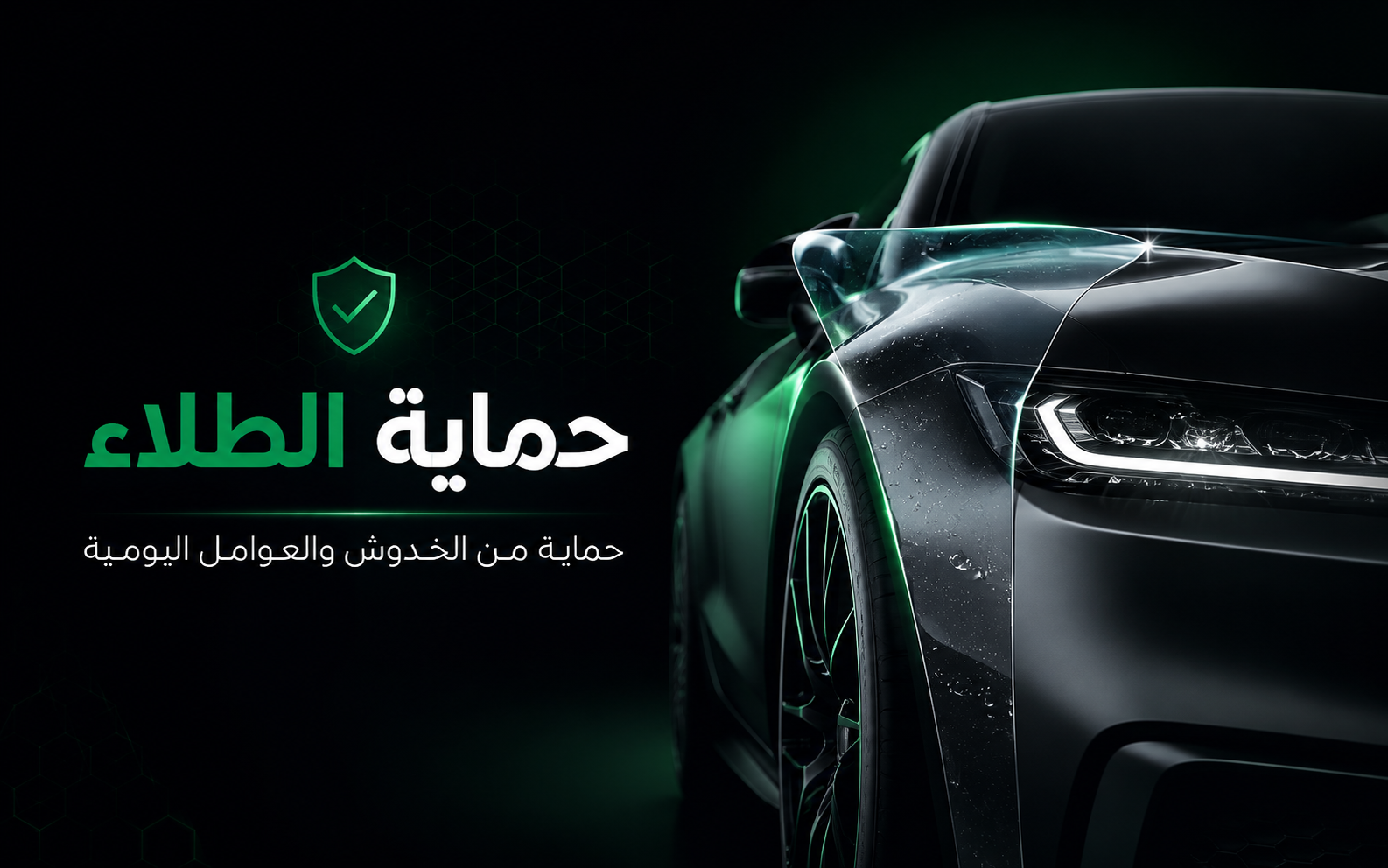 حماية الطلاء